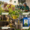 ChatGPT Image Sep 15, 2026, 08_51_50 PM Union Traders Pure Tulsi Oil