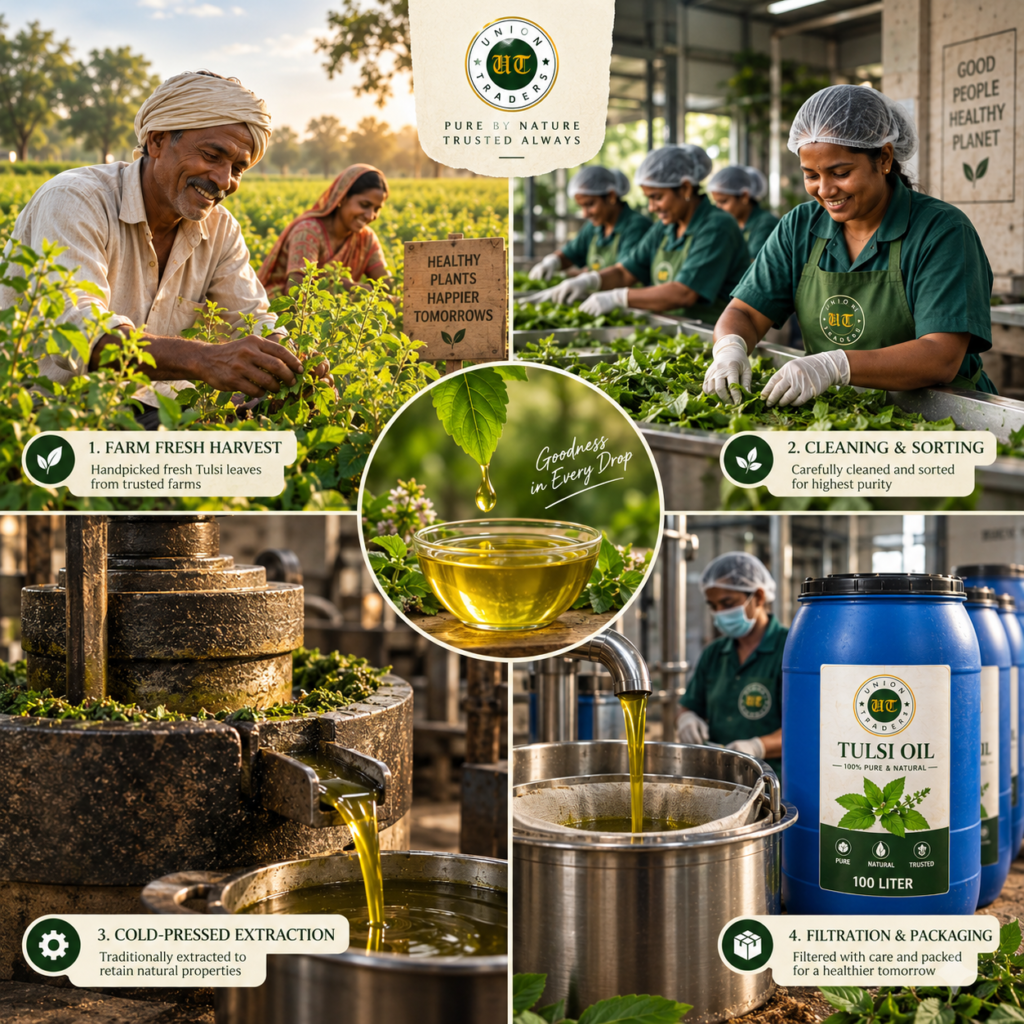 Union Traders Pure Tulsi Oil | 100% Natural Cold-Pressed Ayurvedic Oil