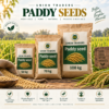 ChatGPT Image Sep 15, 2026, 09_00_02 PM Union Traders Paddy Seed