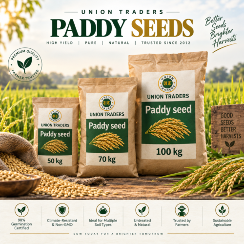 Union Traders Paddy Seed | High Germination Quality Paddy Seeds | Non-GMO - Image 1