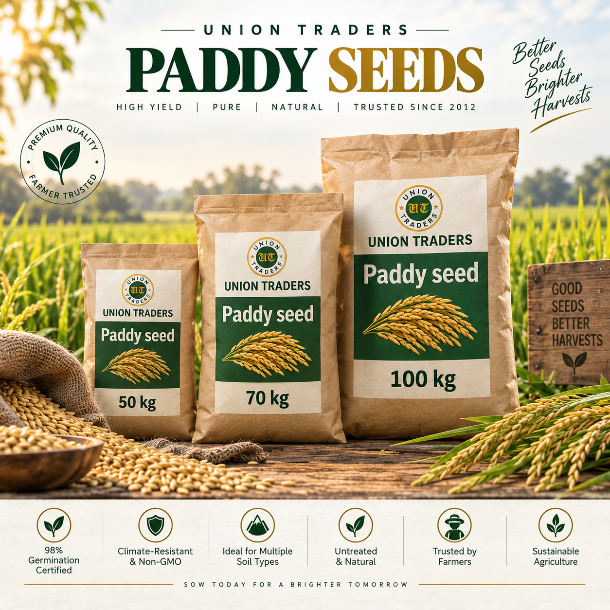 Union Traders Paddy Seed | High Germination Quality Paddy Seeds | Non-GMO - Image 1