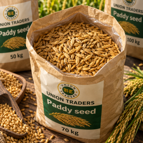 Union Traders Paddy Seed | High Germination Quality Paddy Seeds | Non-GMO - Image 3