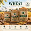 ChatGPT Image Sep 16, 2026, 01_35_43 AM Union Traders Wheat