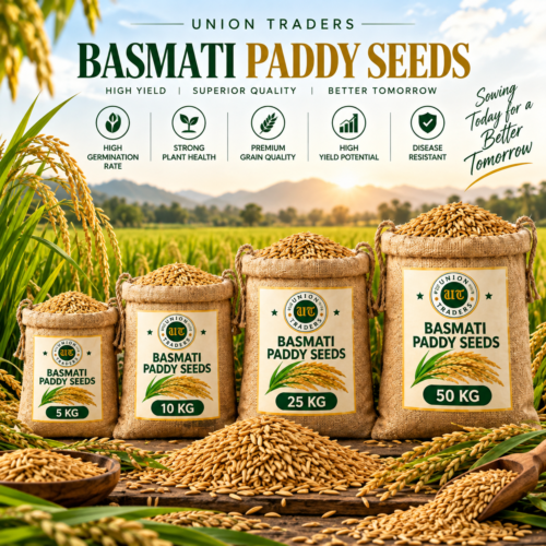 ChatGPT Image Sep 28, 2026, 08_37_49 PM Union Traders Basmati Paddy Seeds